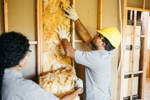 Best Insulation for New Construction  in Double Oak, TX